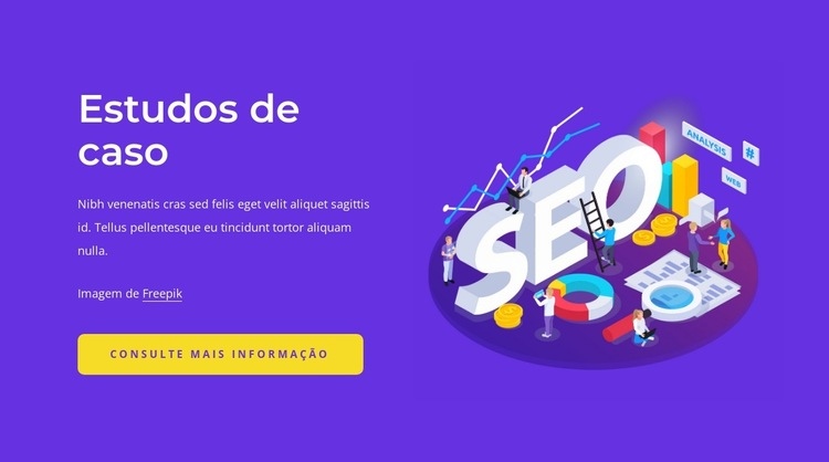 Estudos de caso de SEO Modelos de construtor de sites