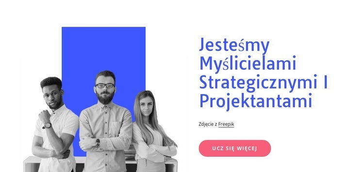 Multidyscyplinarny zespół projektantów i programistów Szablony do tworzenia witryn internetowych