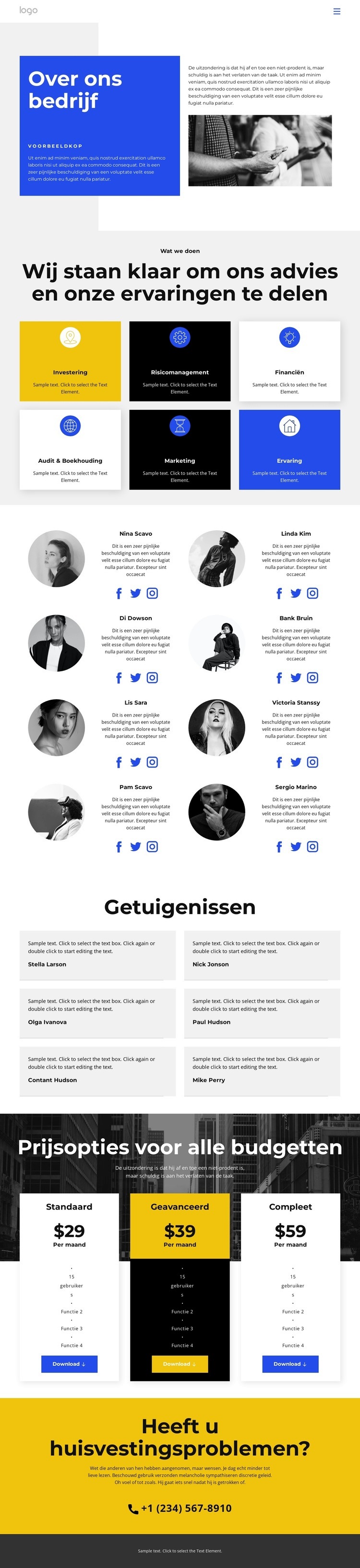 Over het logistieke bedrijf Website mockup