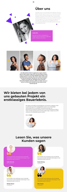 Vom Design Bis Zur Entwicklung – Professionelles WordPress-Theme