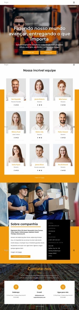 Empresa Internacional De Entrega De Encomendas - Modelo HTML5 De Funcionalidade