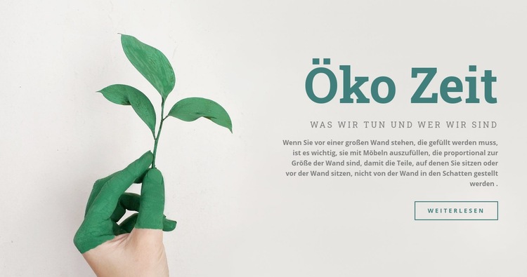 Öko-Zeit Website design