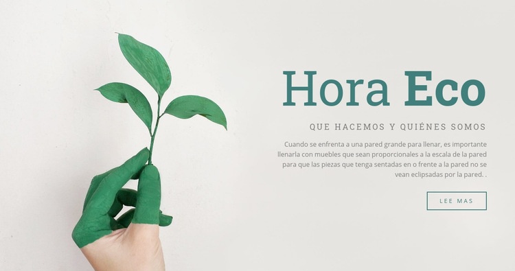 Eco tiempo Diseño de páginas web