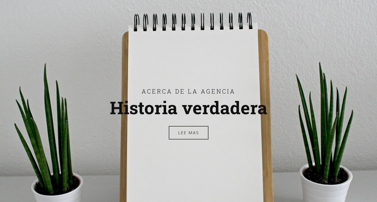 Verdadera historia sobre nosotros Diseño de páginas web