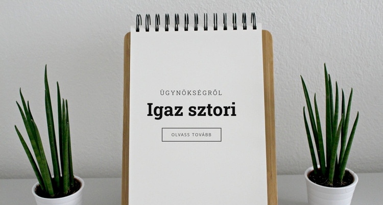 Igaz történet rólunk HTML Sablon