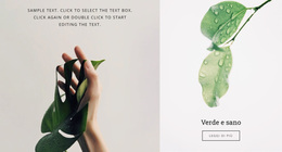 Benefici Per Il Tuo Corpo - Funzionalità Tema WordPress