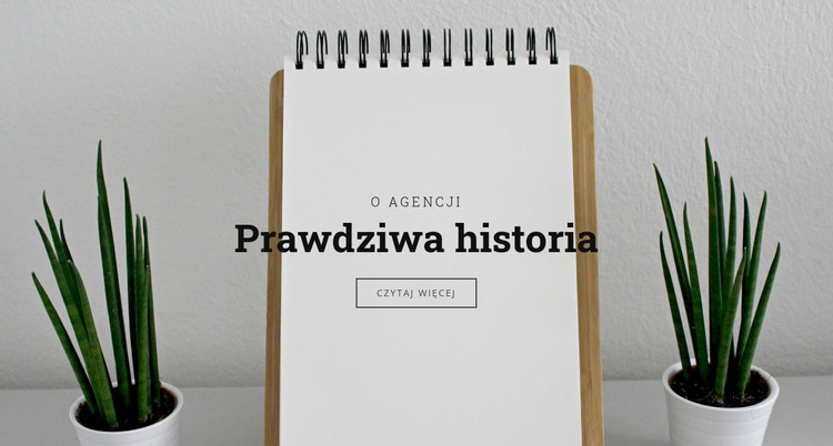 Prawdziwa historia o nas Motyw WordPress