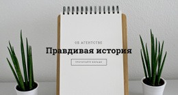 Правдивая История О Нас – Премиум-Тема WordPress