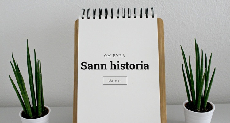 Sann historia om oss HTML-mall