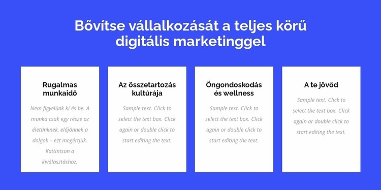 Teljes körű szolgáltatást nyújtó digitális marketing WordPress Téma