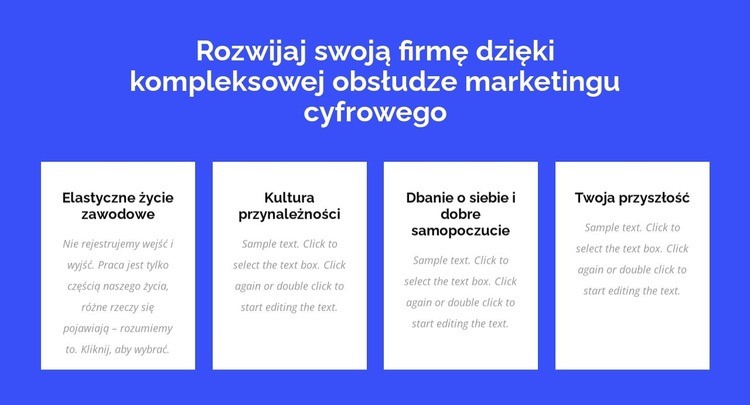 Pełna obsługa marketingu cyfrowego Wstęp