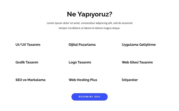 Uygulama geliştirme ve grafik tasarım CSS Şablonu