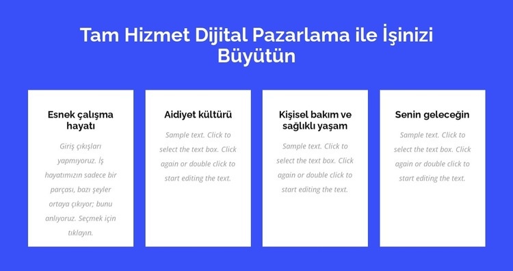 Tam hizmet dijital pazarlama Html Web Sitesi Oluşturucu