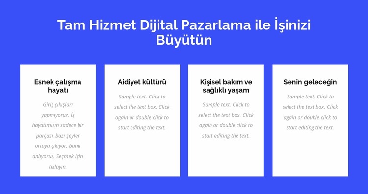 Tam hizmet dijital pazarlama Joomla Şablonu