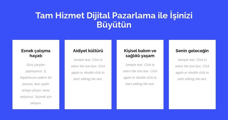 Tam hizmet dijital pazarlama Web Sitesi Şablonu