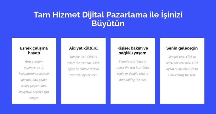 Tam hizmet dijital pazarlama WordPress Teması