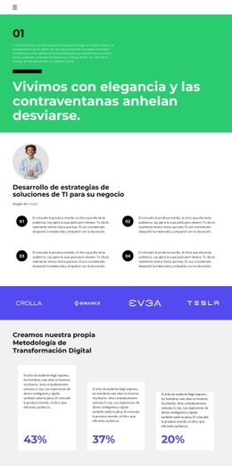 Creando Un Plan De Desarrollo: Creador De Sitios Web Fácil De Usar