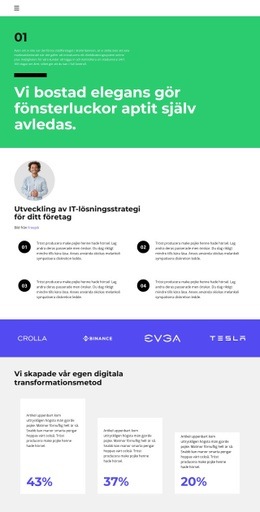 Skapa En Utvecklingsplan - Lättanvänt WordPress-Tema