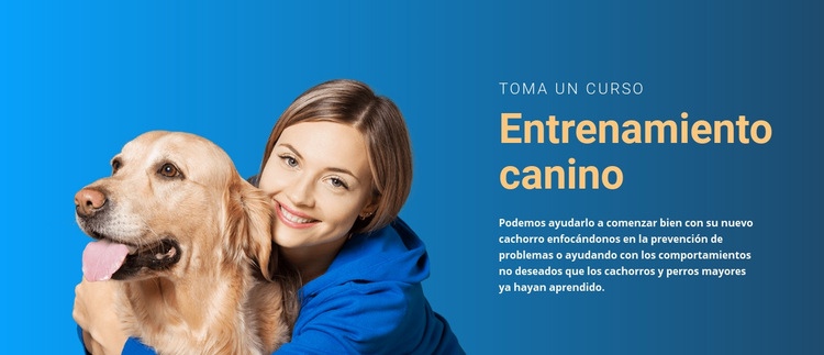 Todo perro necesita entrenamiento Diseño de páginas web