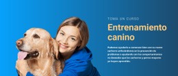 Todo Perro Necesita Entrenamiento - Maqueta En Línea