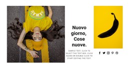 CSS Gratuito Per Nuovi Articoli Di Oggi