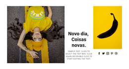 Novos Itens De Hoje - Incrível Tema WordPress