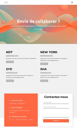 Contactez Notre Studio De Design Dès Aujourd'Hui : Modèle De Site Web Simple