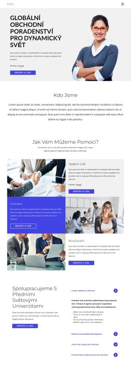 Stáhnout Téma WordPress Pro Globální Obchodní Poradenství