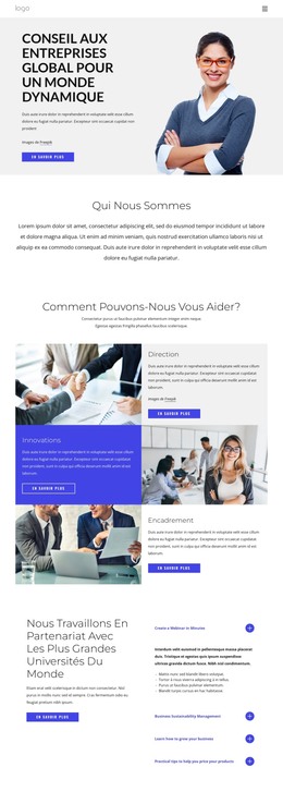 Conseil Aux Entreprises Mondiales