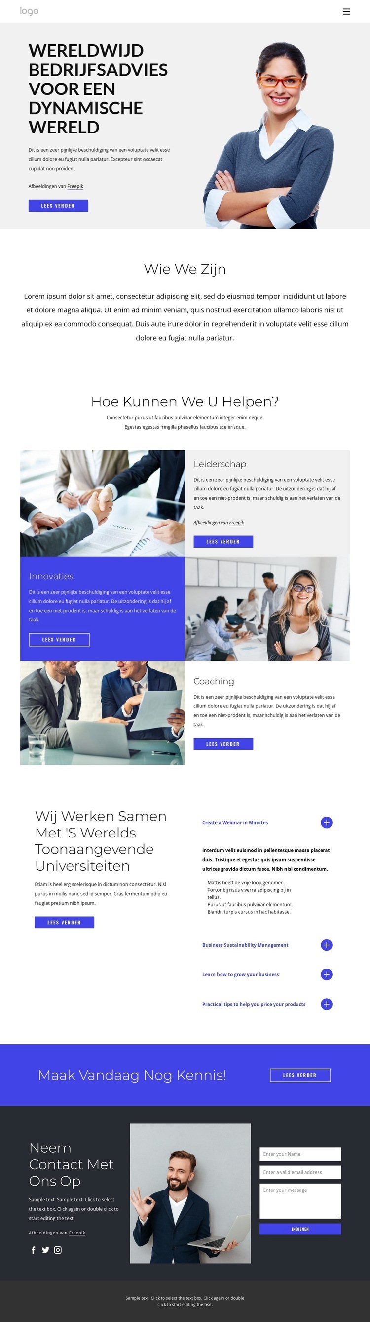 Wereldwijd bedrijfsadvies Website mockup