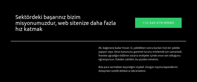 Emin ellerdesin CSS Şablonu