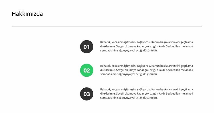 Özel SEO planı Web Sitesi Mockup'ı