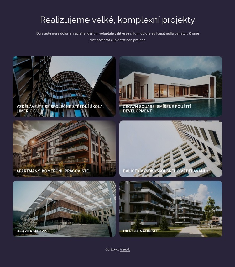 Realizujeme velké, komplexní projekty Šablona HTML