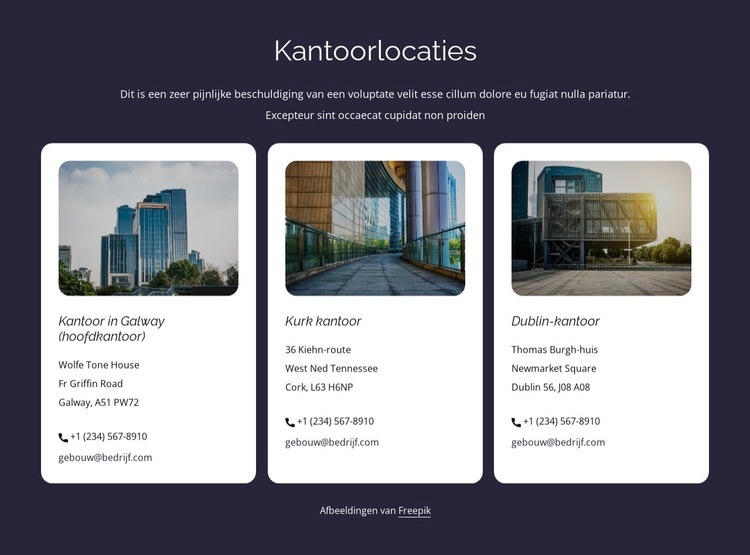 Kantoorlocaties Website mockup