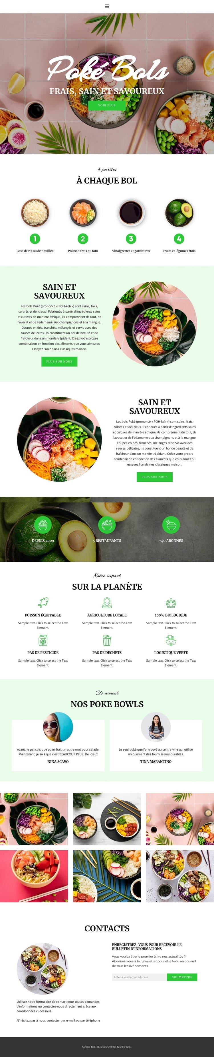 Fresh healthy and tasty Conception de site Web