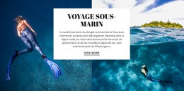 Maquette D'Écran Pour Voyage Sous-Marin