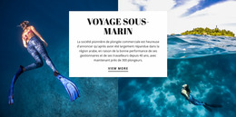 Voyage Sous-Marin Page Elementor