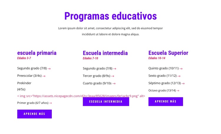 programas educativos Tema de WordPress