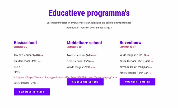 onderwijsprogramma's Website ontwerp