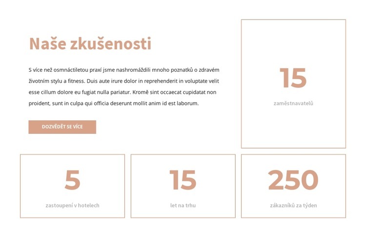 Naše zkušenost Téma WordPress