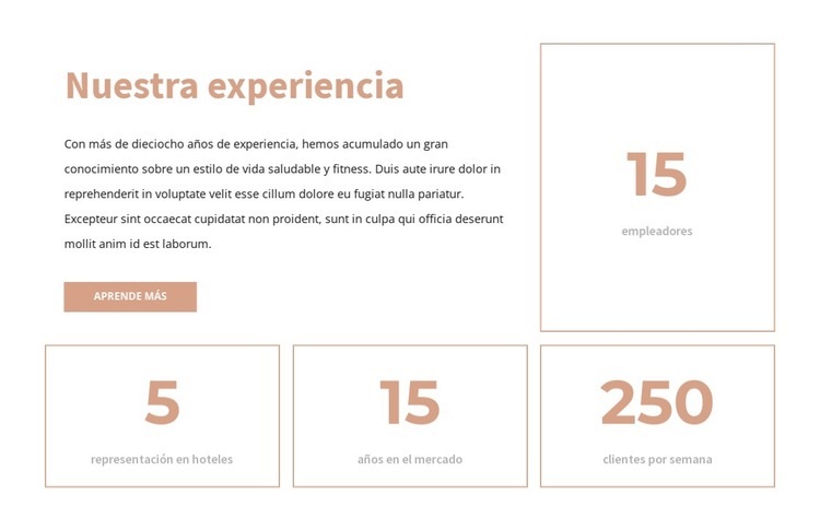 Nuestra experiencia Plantillas de creación de sitios web