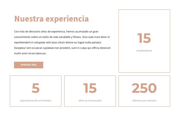 Nuestra experiencia Plantilla HTML