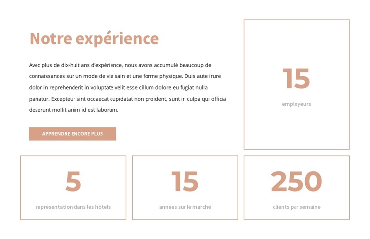 Notre expérience Thème WordPress