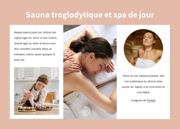 Sauna troglodytique et spa de jour Thème WordPress