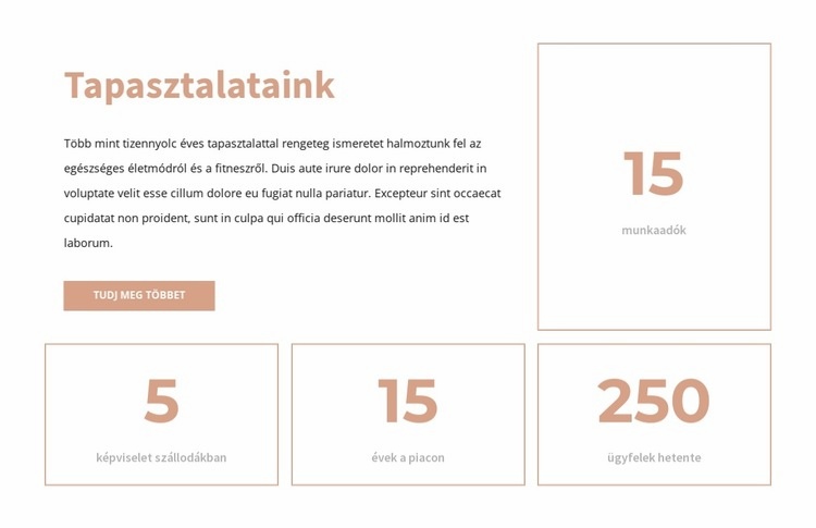 A mi tapasztalatunk Weboldal tervezés