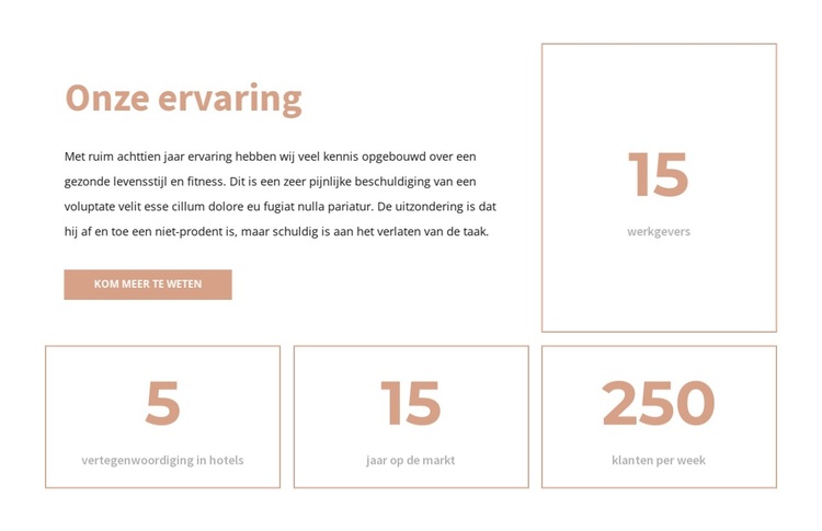 Onze ervaring WordPress-thema