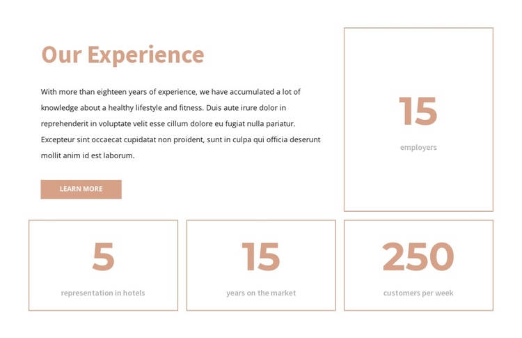 Our experience One Page Template