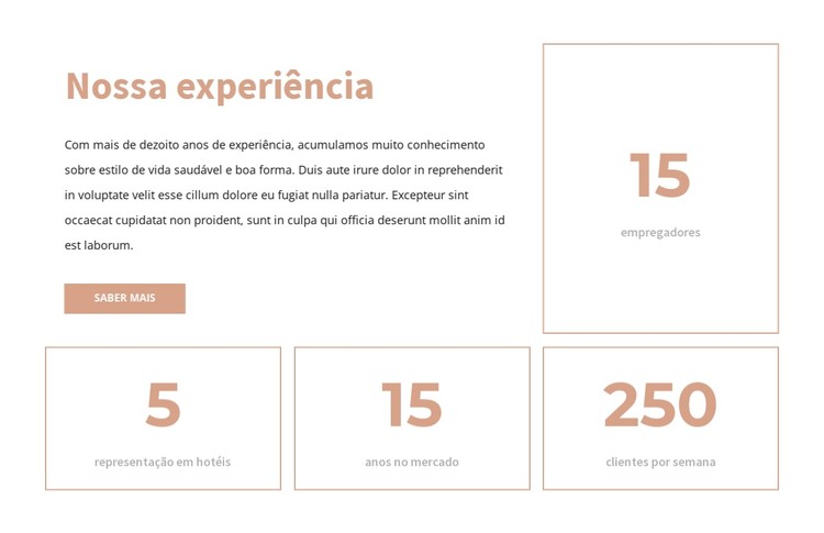 Nossa experiência Template CSS