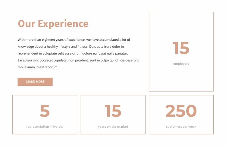Our experience Website Mockup