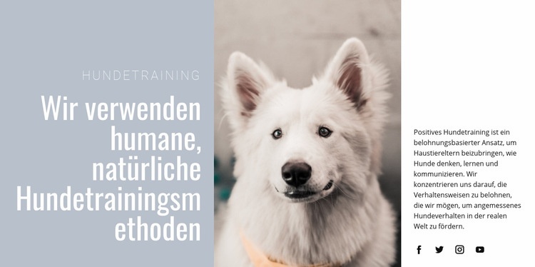 Humanes Training Eine Seitenvorlage